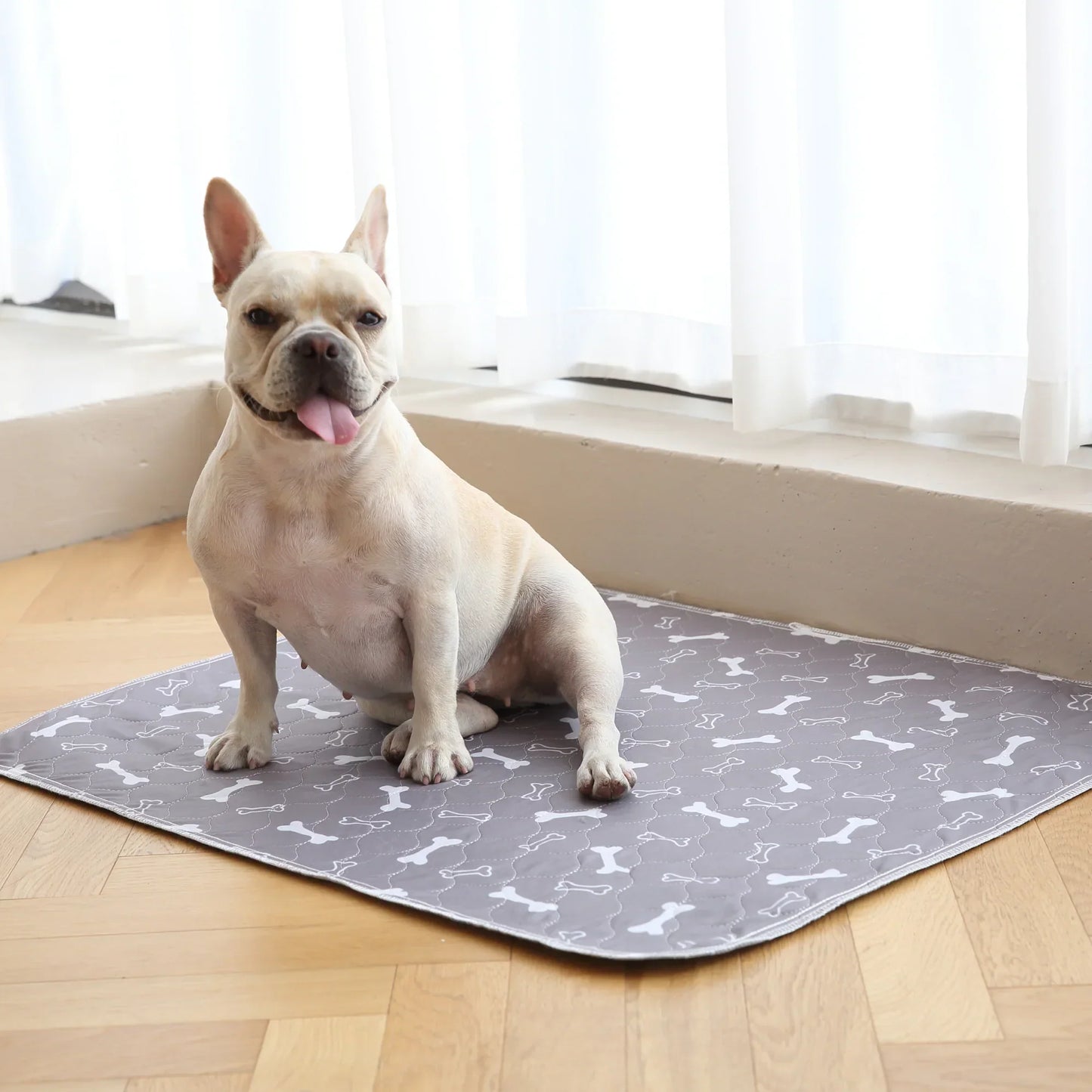 Pawtique beschermmat