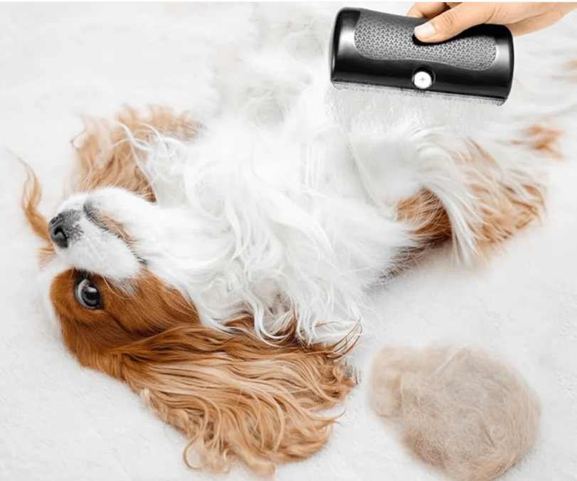 Pawtiquebrush Pro