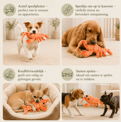 Pawtique Shrimpie