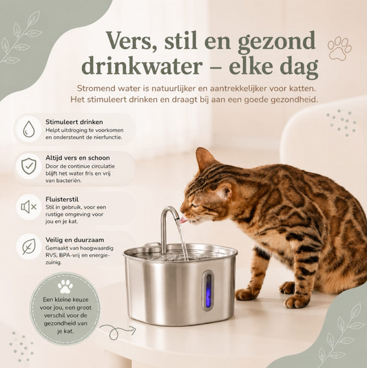 Pawtique drink fontein