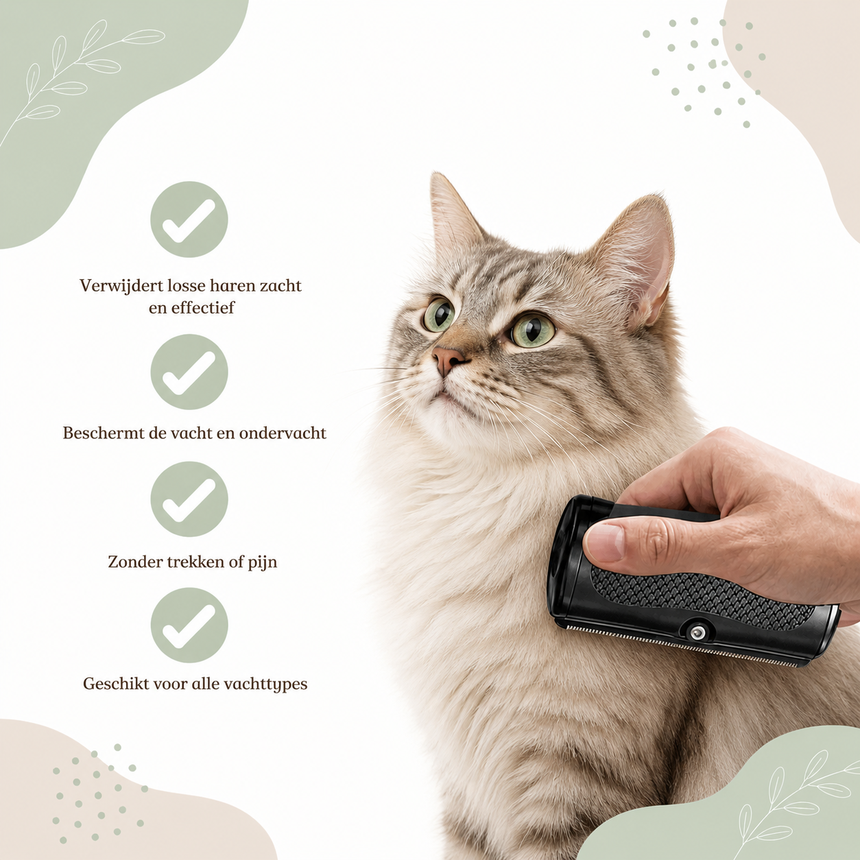 Pawtiquebrush Pro