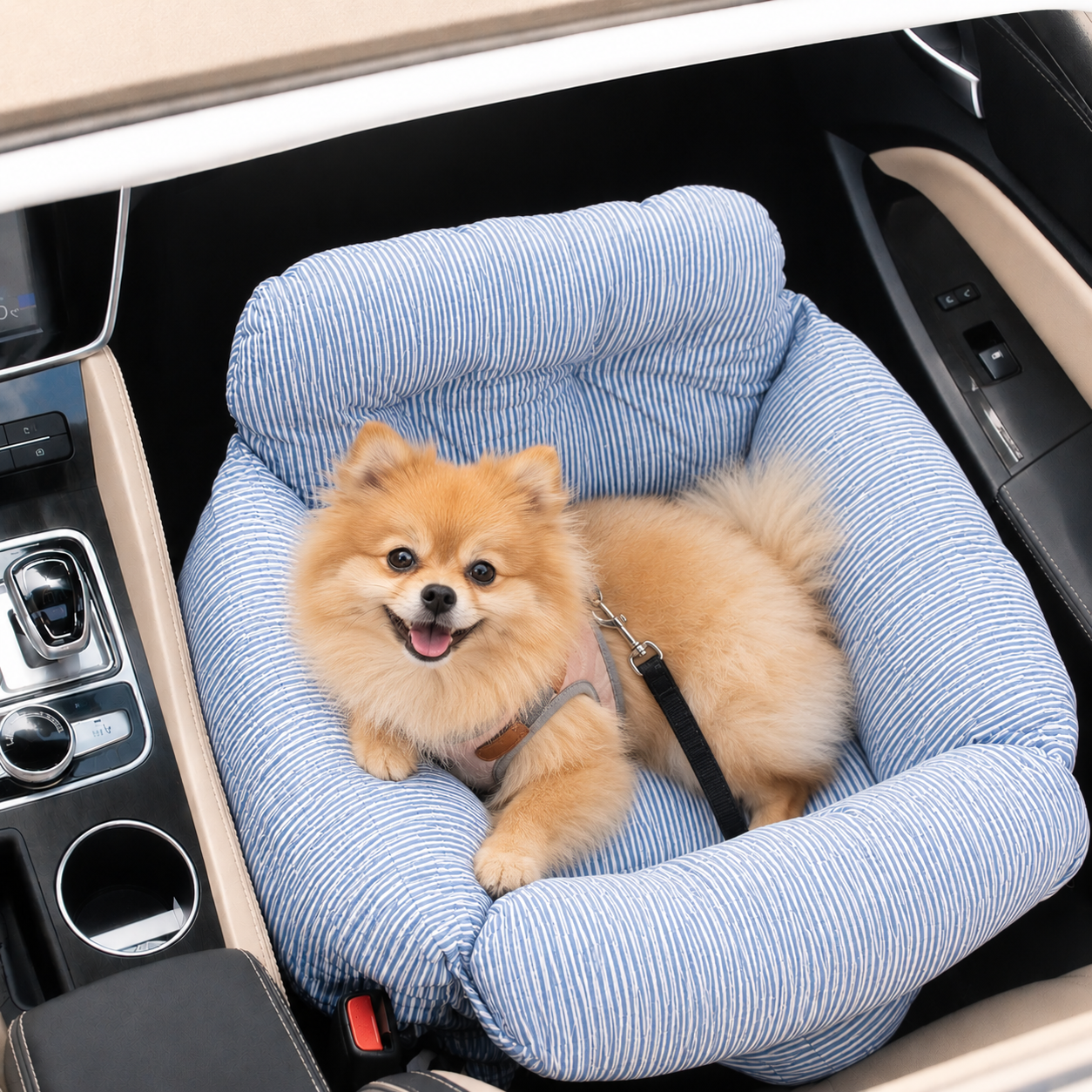Pawtique CozyRide